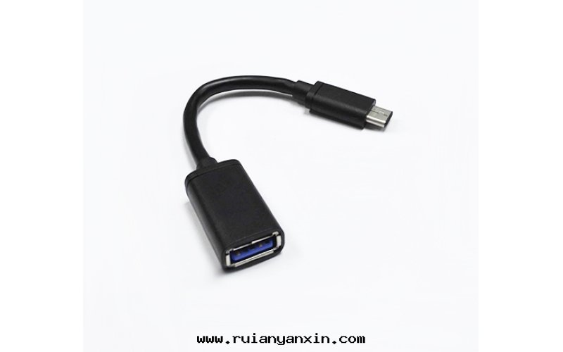 USB3.1 C to AF Adapter